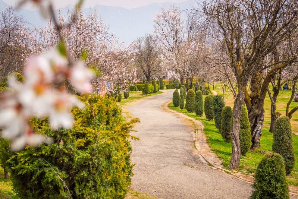 Badamwari Srinagar